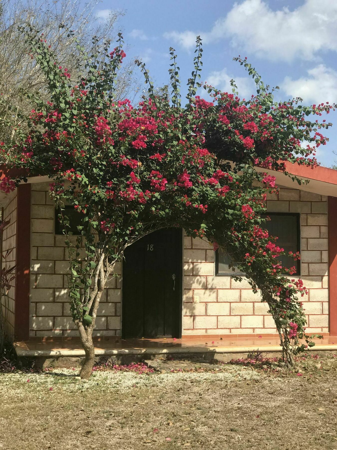 Cenotes Cabanas Suytun Tikuch Exterior photo